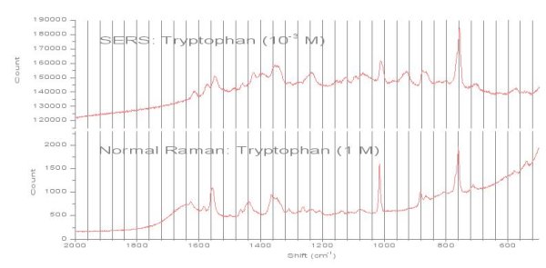 Comparison of Raman and SERS spectra